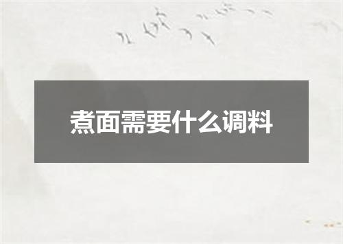 煮面需要什么调料