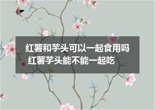 红薯和芋头可以一起食用吗 红薯芋头能不能一起吃