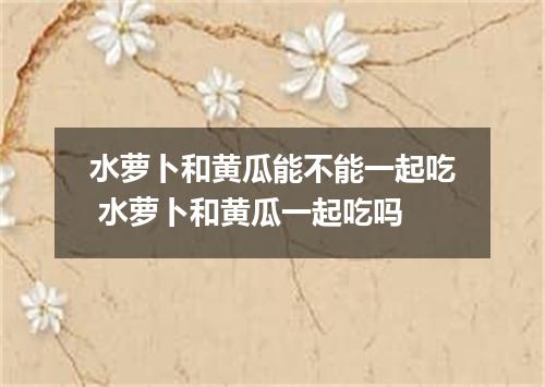 水萝卜和黄瓜能不能一起吃 水萝卜和黄瓜一起吃吗