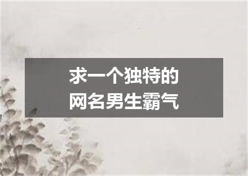 求一个独特的网名男生霸气