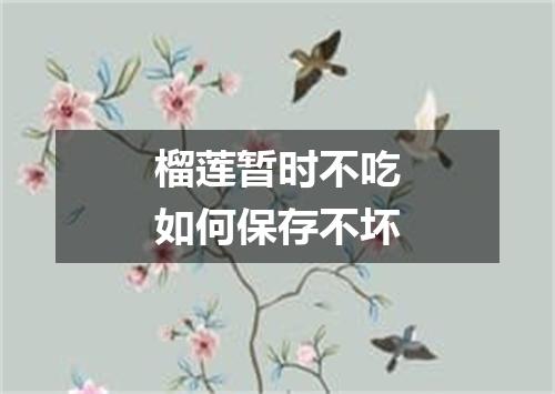 榴莲暂时不吃如何保存不坏