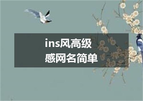 ins风高级感网名简单
