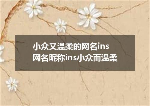 小众又温柔的网名ins 网名昵称ins小众而温柔