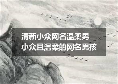 清新小众网名温柔男 小众且温柔的网名男孩
