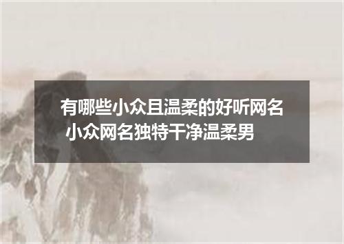 有哪些小众且温柔的好听网名 小众网名独特干净温柔男