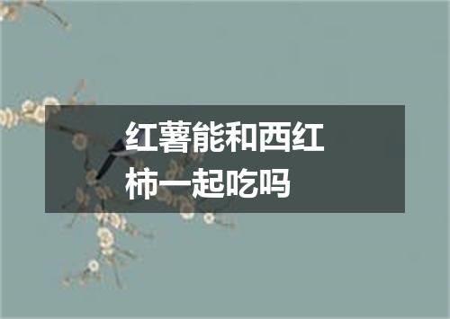 红薯能和西红柿一起吃吗