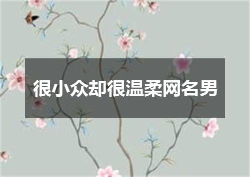 很小众却很温柔网名男