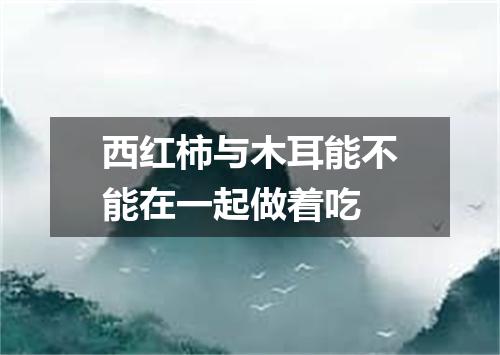 西红柿与木耳能不能在一起做着吃
