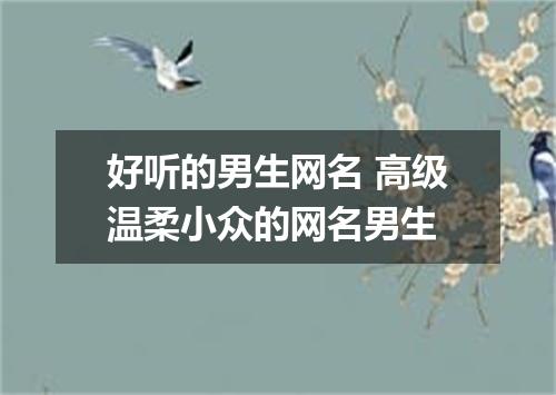 好听的男生网名 高级温柔小众的网名男生