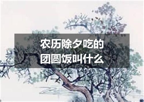 农历除夕吃的团圆饭叫什么