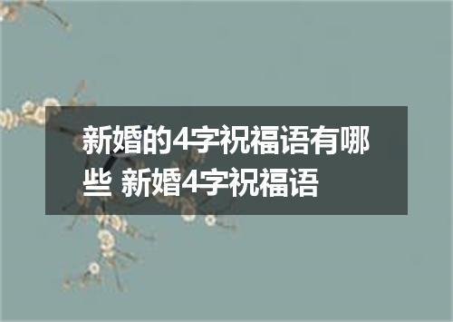 新婚的4字祝福语有哪些 新婚4字祝福语