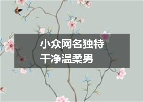 小众网名独特干净温柔男