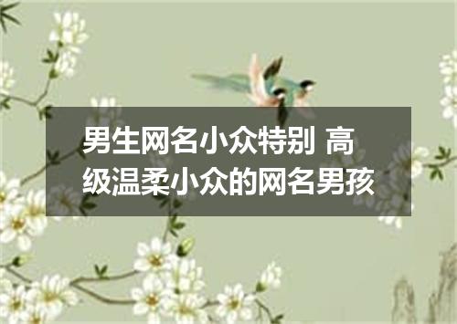 男生网名小众特别 高级温柔小众的网名男孩