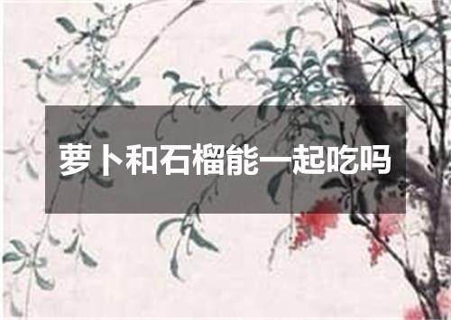 萝卜和石榴能一起吃吗