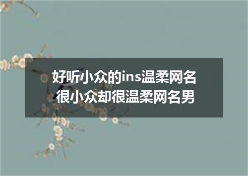 好听小众的ins温柔网名 很小众却很温柔网名男