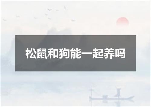 松鼠和狗能一起养吗