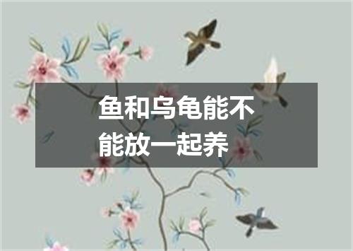 鱼和乌龟能不能放一起养