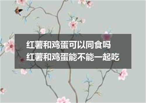红薯和鸡蛋可以同食吗 红薯和鸡蛋能不能一起吃