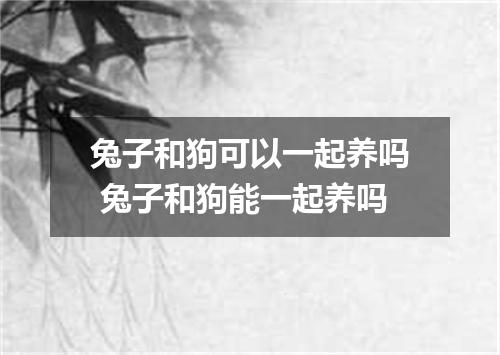兔子和狗可以一起养吗 兔子和狗能一起养吗