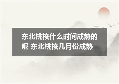 东北桃核什么时间成熟的呢 东北桃核几月份成熟
