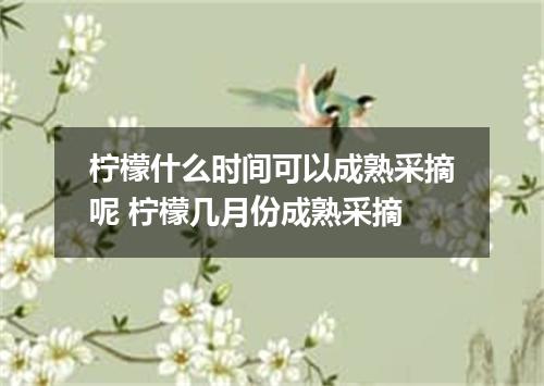 柠檬什么时间可以成熟采摘呢 柠檬几月份成熟采摘