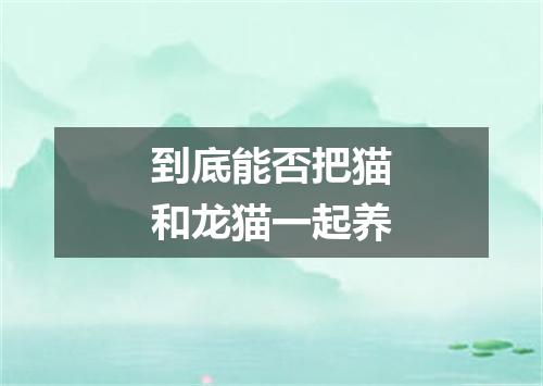 到底能否把猫和龙猫一起养