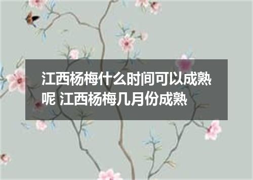 江西杨梅什么时间可以成熟呢 江西杨梅几月份成熟