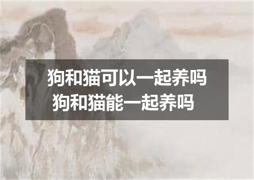 狗和猫可以一起养吗 狗和猫能一起养吗