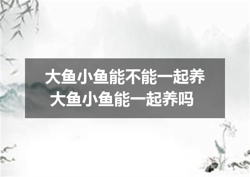 大鱼小鱼能不能一起养 大鱼小鱼能一起养吗