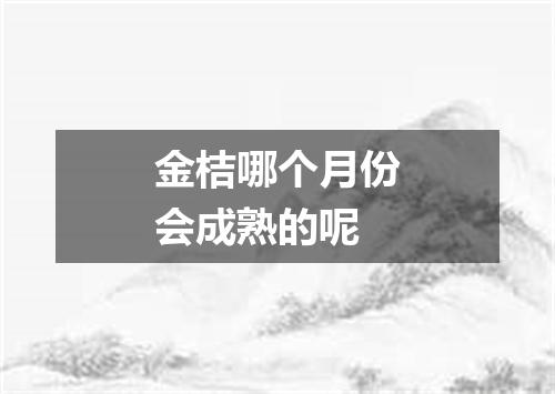 金桔哪个月份会成熟的呢