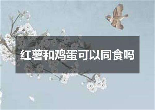 红薯和鸡蛋可以同食吗