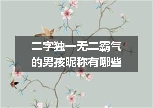 二字独一无二霸气的男孩昵称有哪些