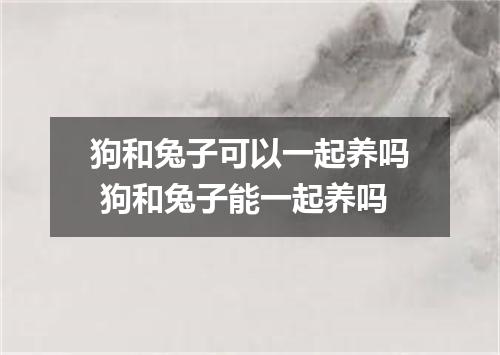 狗和兔子可以一起养吗 狗和兔子能一起养吗
