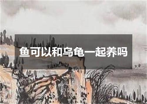 鱼可以和乌龟一起养吗