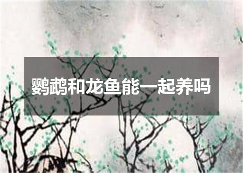 鹦鹉和龙鱼能一起养吗