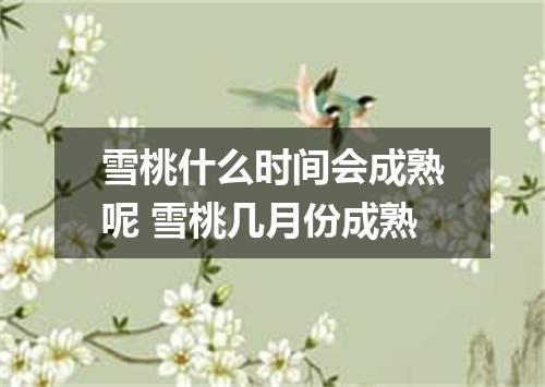 雪桃什么时间会成熟呢 雪桃几月份成熟