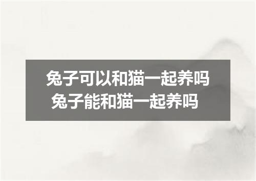 兔子可以和猫一起养吗 兔子能和猫一起养吗