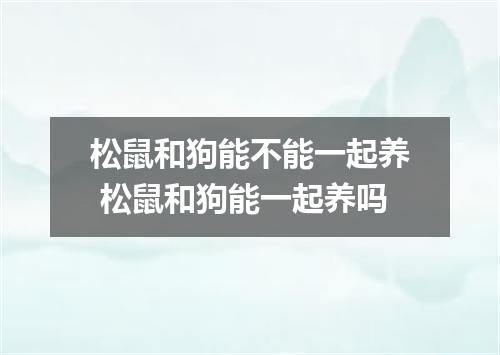 松鼠和狗能不能一起养 松鼠和狗能一起养吗