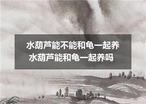 水葫芦能不能和龟一起养 水葫芦能和龟一起养吗