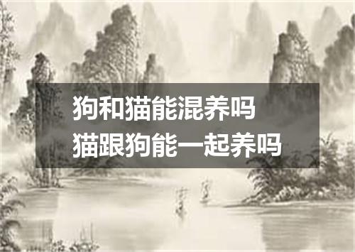 狗和猫能混养吗 猫跟狗能一起养吗