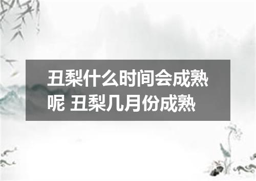 丑梨什么时间会成熟呢 丑梨几月份成熟