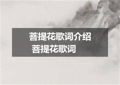 菩提花歌词介绍 菩提花歌词