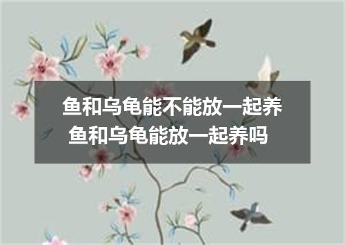 鱼和乌龟能不能放一起养 鱼和乌龟能放一起养吗
