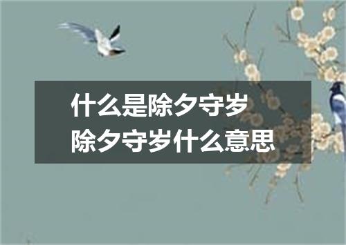 什么是除夕守岁 除夕守岁什么意思