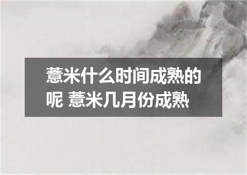 薏米什么时间成熟的呢 薏米几月份成熟