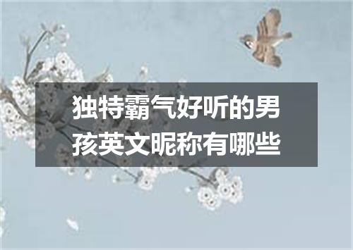 独特霸气好听的男孩英文昵称有哪些