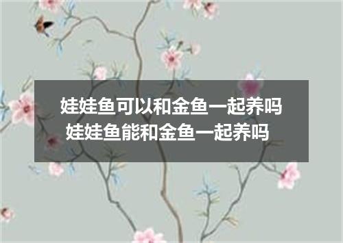 娃娃鱼可以和金鱼一起养吗 娃娃鱼能和金鱼一起养吗