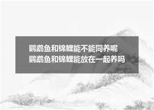 鹦鹉鱼和锦鲤能不能同养呢 鹦鹉鱼和锦鲤能放在一起养吗