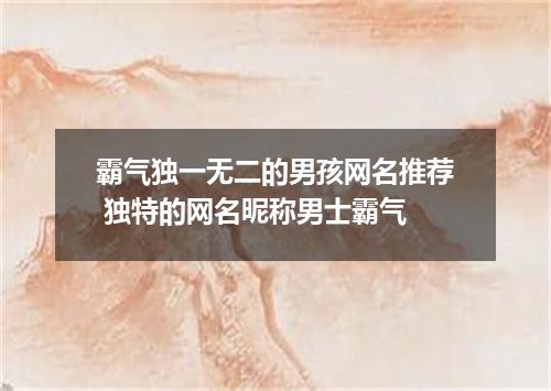 霸气独一无二的男孩网名推荐 独特的网名昵称男士霸气