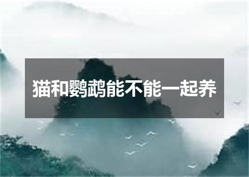 猫和鹦鹉能不能一起养